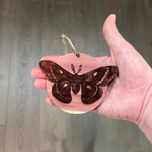 Load image into Gallery viewer, Cecropia Moth - Cedar Ornament