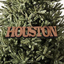 Load image into Gallery viewer, Houston - Cedar Ornament