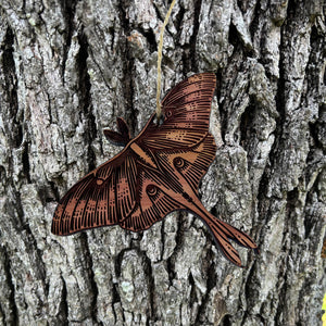 Luna Moth - Cedar Ornament