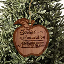 Load image into Gallery viewer, Special Education Ornament - Raw Cedar Ornament