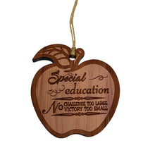 Load image into Gallery viewer, Special Education Ornament - Raw Cedar Ornament