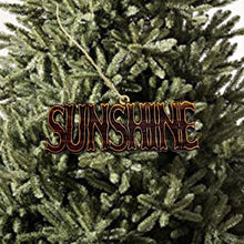 Load image into Gallery viewer, Sunshine - Cedar Ornament