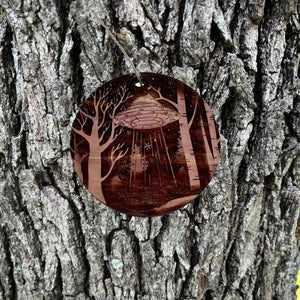 Winter UFO - Cedar ornament